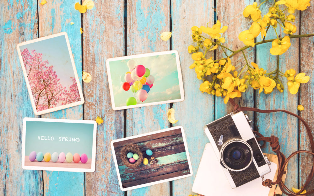 Fotokarten mit Frühlingsmotiven auf einem pastellfarbenen Tisch mit Kamera und gelben Blumenblüten