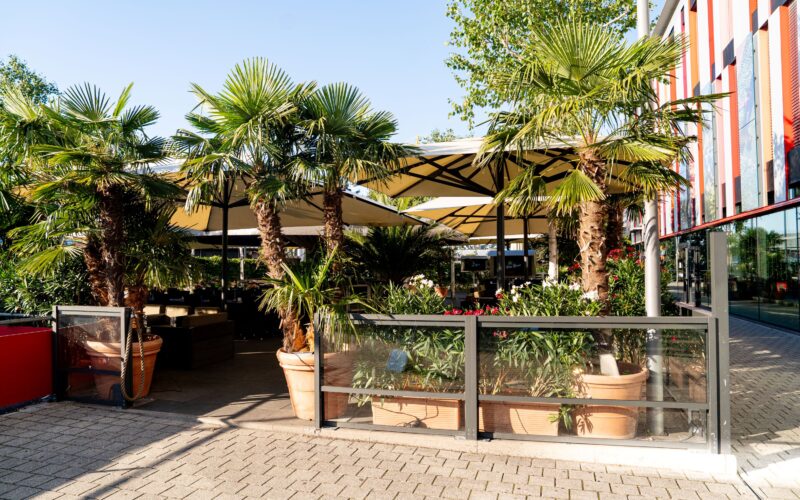 Palm Beach Stuttgart